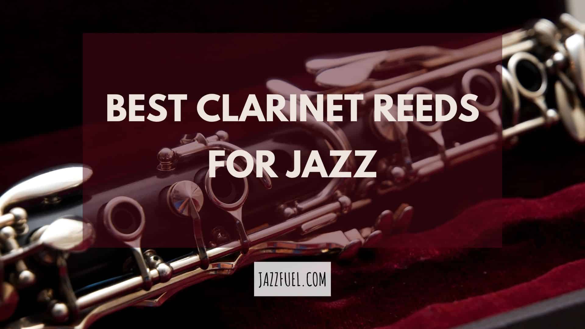 The Best Clarinet Reeds [And Ones To Avoid!!]