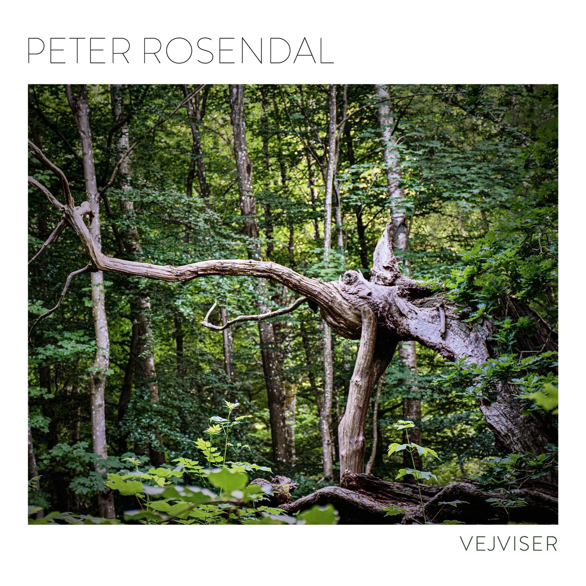 Peter Rosendal | Vejviser | November 17, 2023