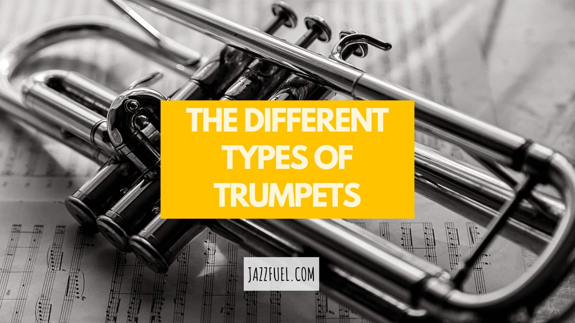 The Different Types of Trumpets [A Complete Guide]