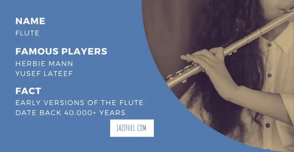 flute (jazz instruments)